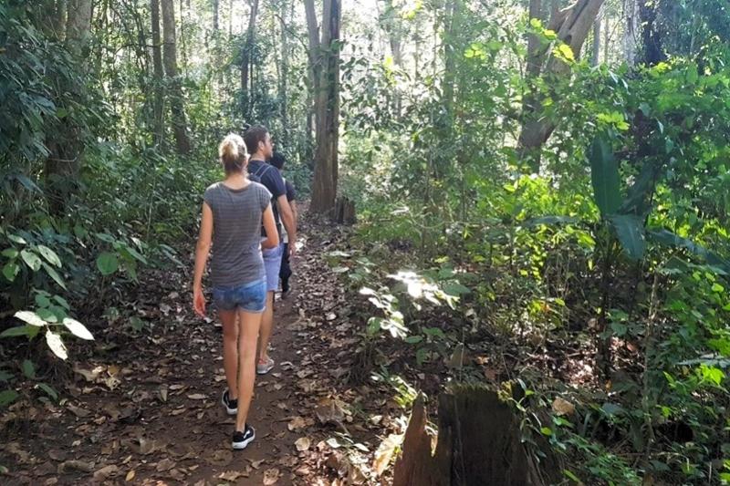Sticky Waterval jungletrek Greenwood Travel