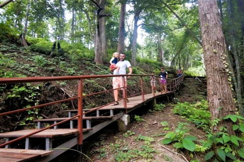 Sticky Waterfall trekking Green wood Travel