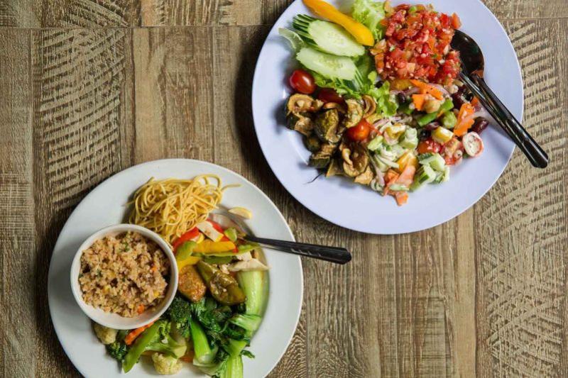 elephant-nature-park-halvedag-excursie