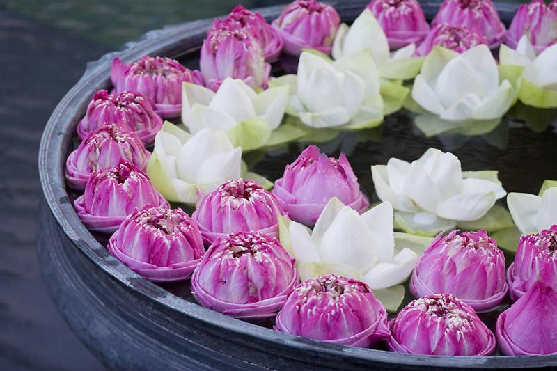 Bang PaIn palace excursie