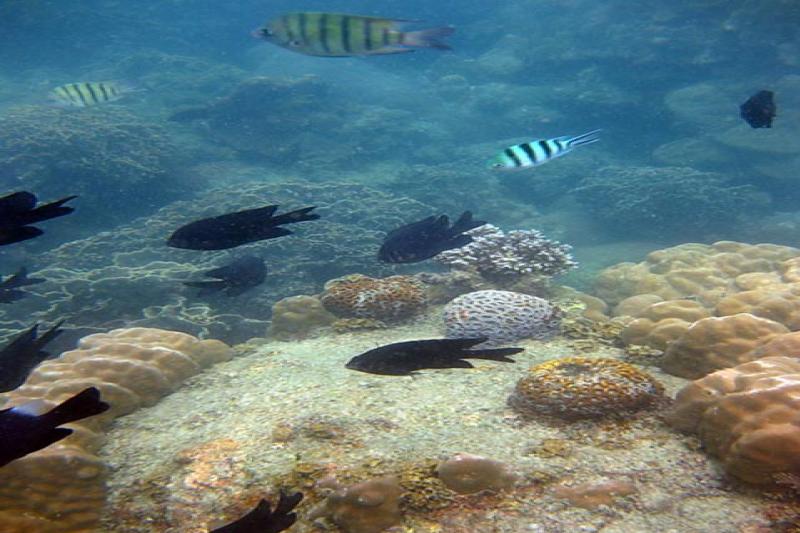 Koh Tan en Koh Madsum Greenwood Travel