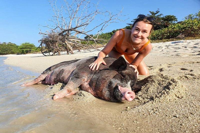 Zwemmen met varkens op Koh Matsum