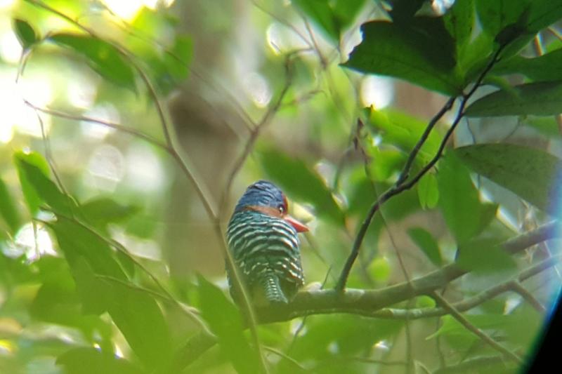 natuur excursies thailand