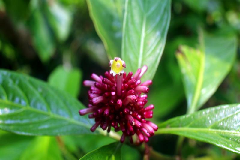 De vleermuizengrot en een dag in het park 1/2 + 1 dag