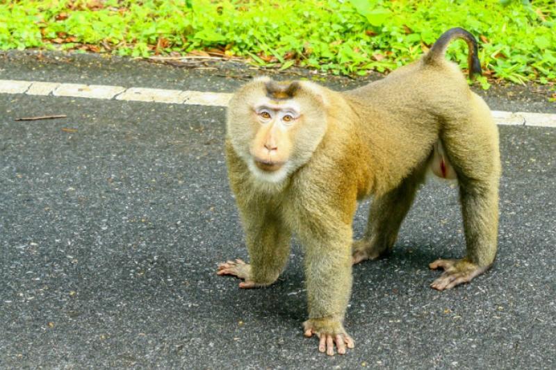 Khao Lak APen zien thailand