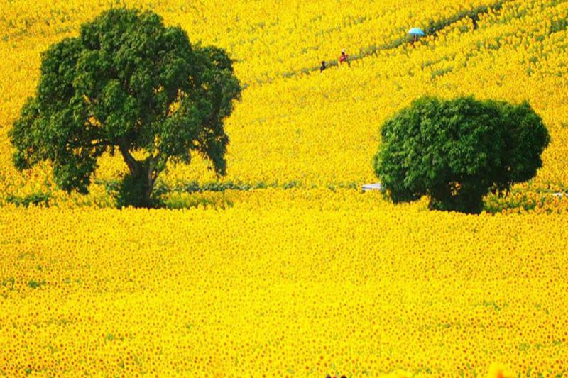 De vleermuizengrot en een dag in het park