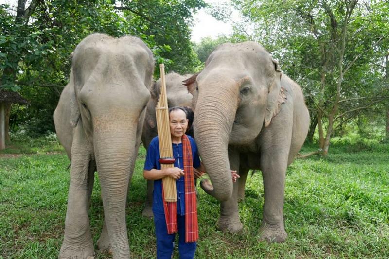 Elephant Haven Kanchanaburi