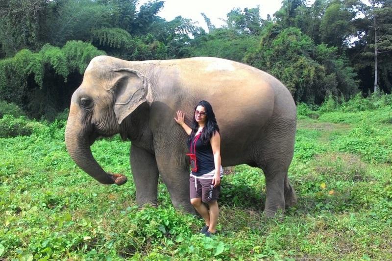 Elephant Haven zwemmen met olifanten