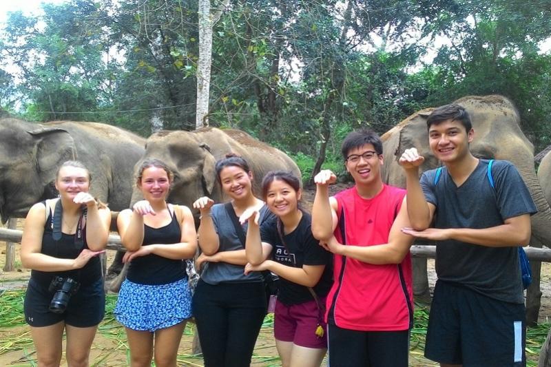 Elephant Haven dagtrip