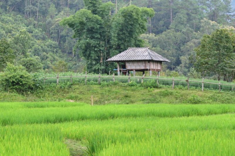 Fietsen Fatbike Adventuur in Chiang Mai