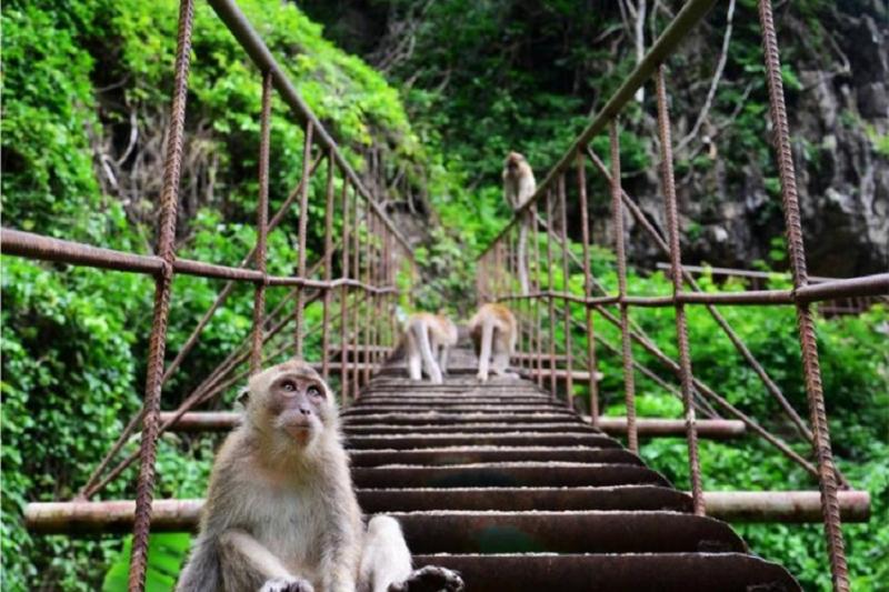 Khao Sok Kajak trip Greenwood