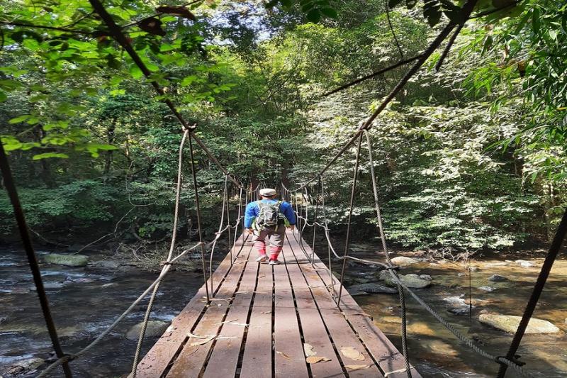 Khao Sok Kajak trip Greenwood