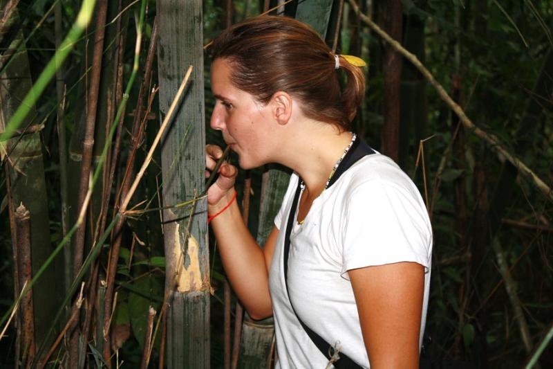 Khao Sok Kajak trip en apentempel