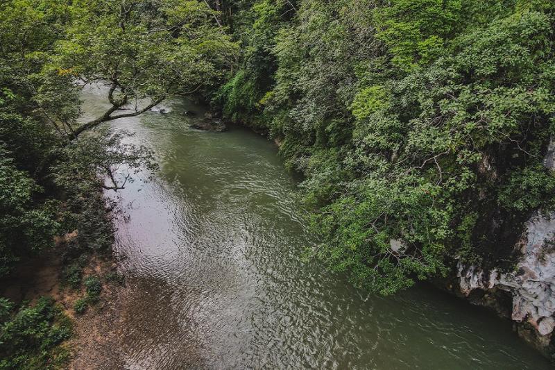 Khao Sok Kajak trip en apentempel
