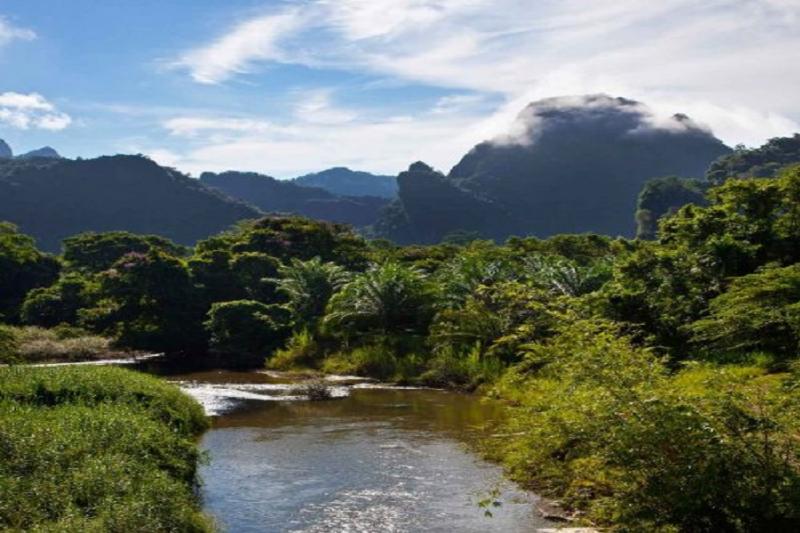 Khao Sok Kajak trip Greenwood