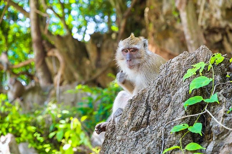 Khao Sok - Een dag op het meer