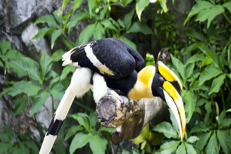 Khao Sok - Een dag op het meer