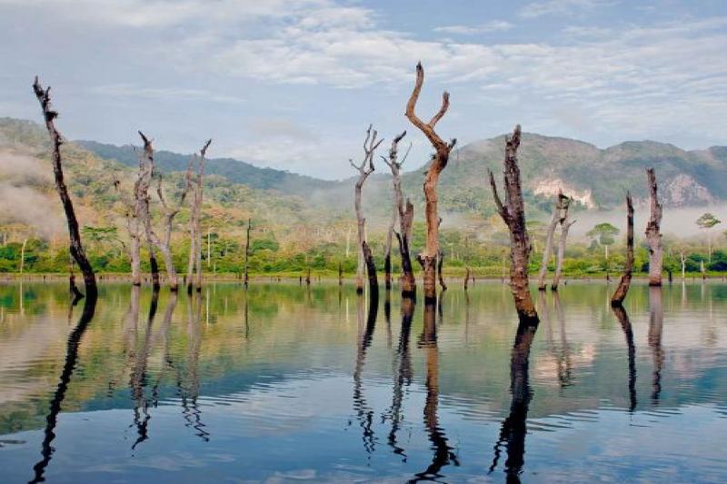 Khao Sok Een dag op het meer rondreis