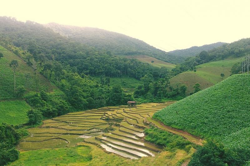 Rafting in Pai white water rafting